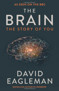 library-the-brain-the-story-of-you