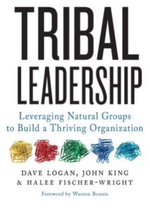 library-tribal-leadership